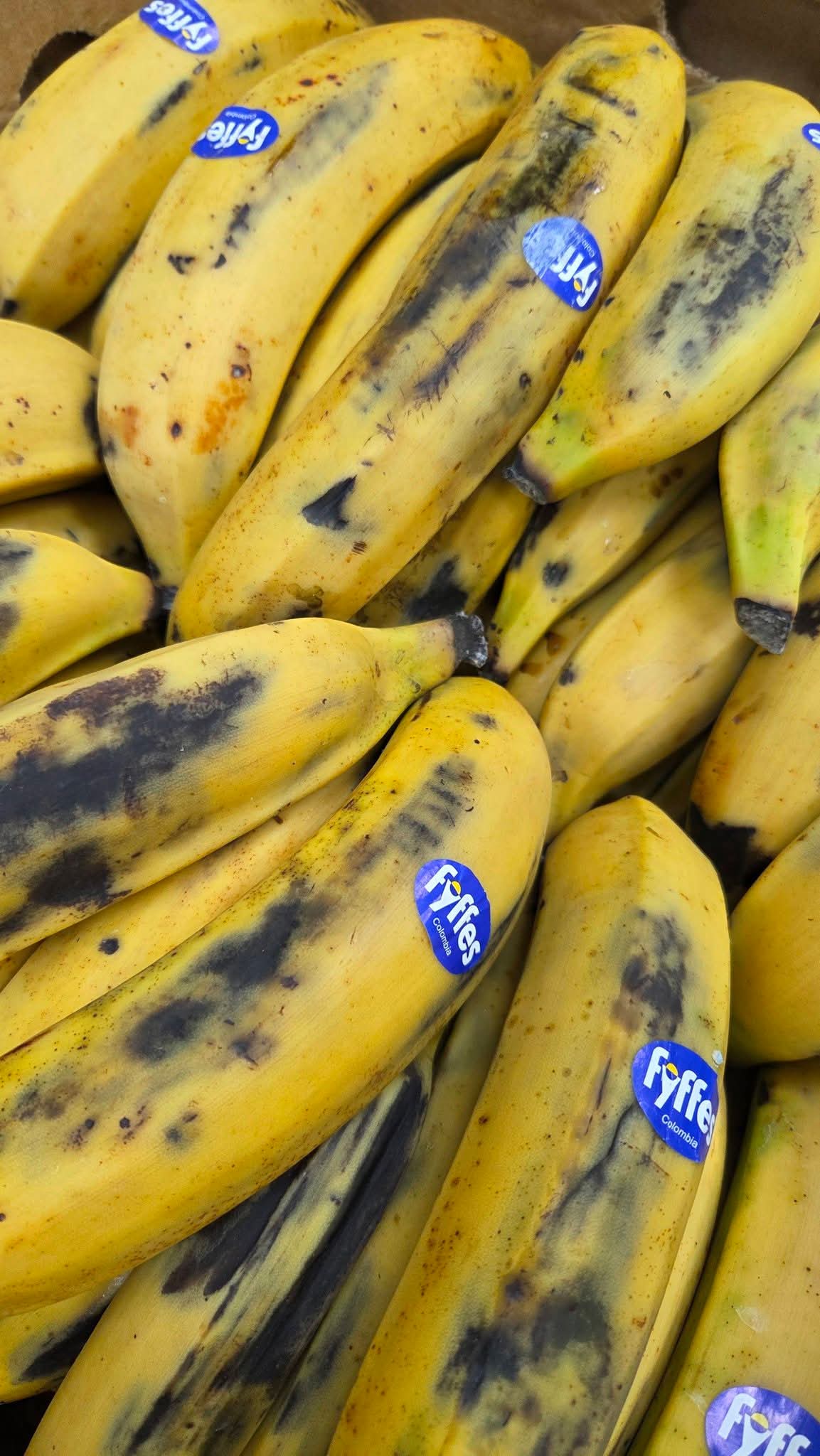 Plantains