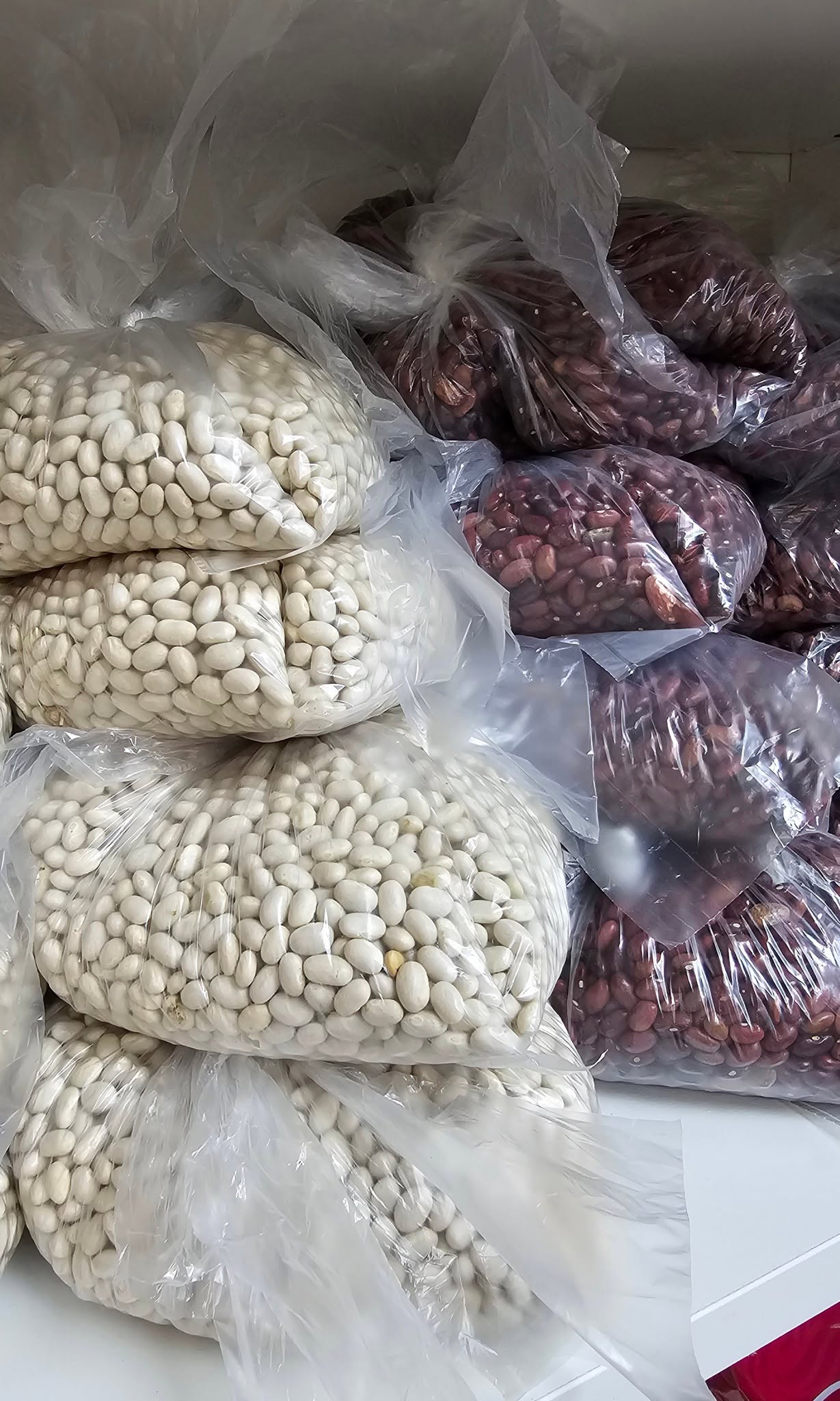 Haricots secs 1 kg