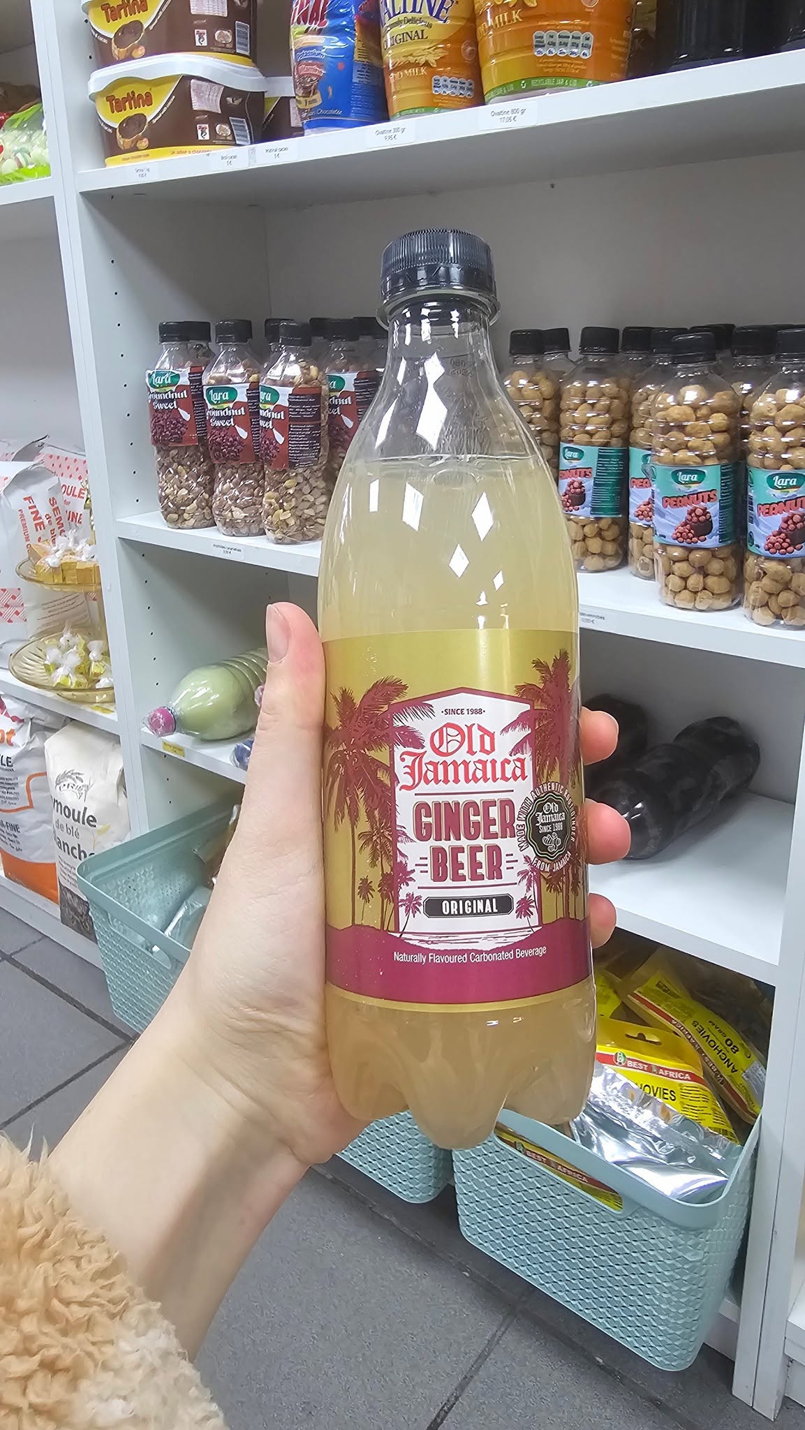 Ginger beer 50 cl