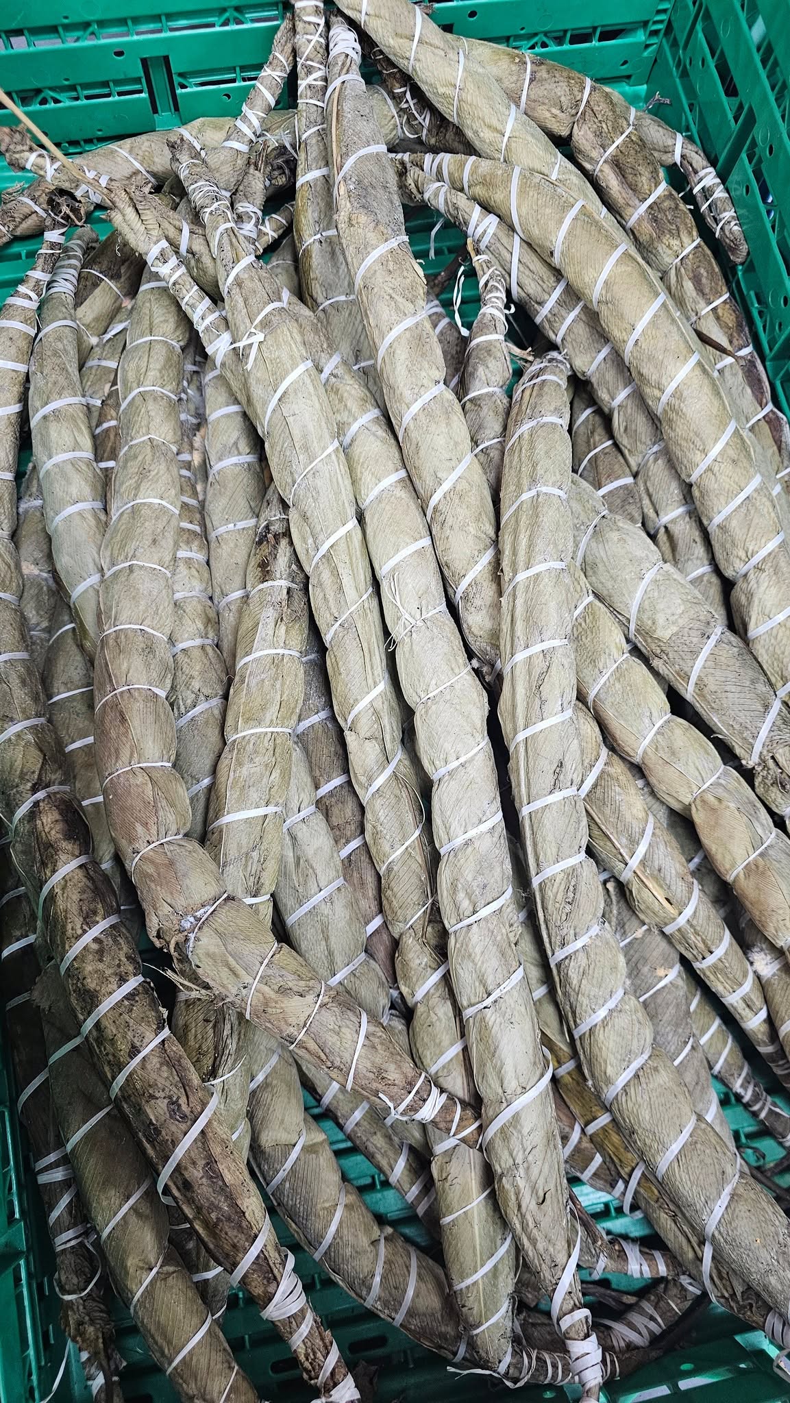 Bobolo frais