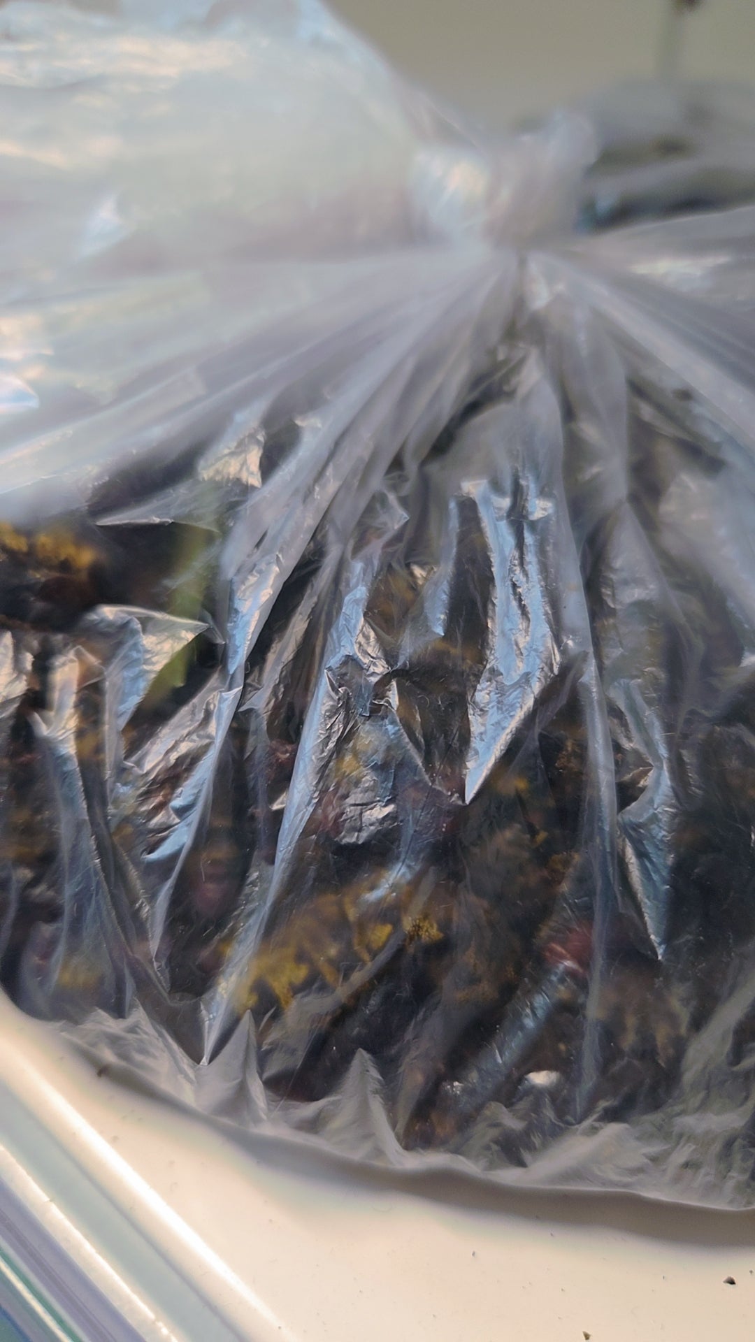 Mbinzo noires 250 gr