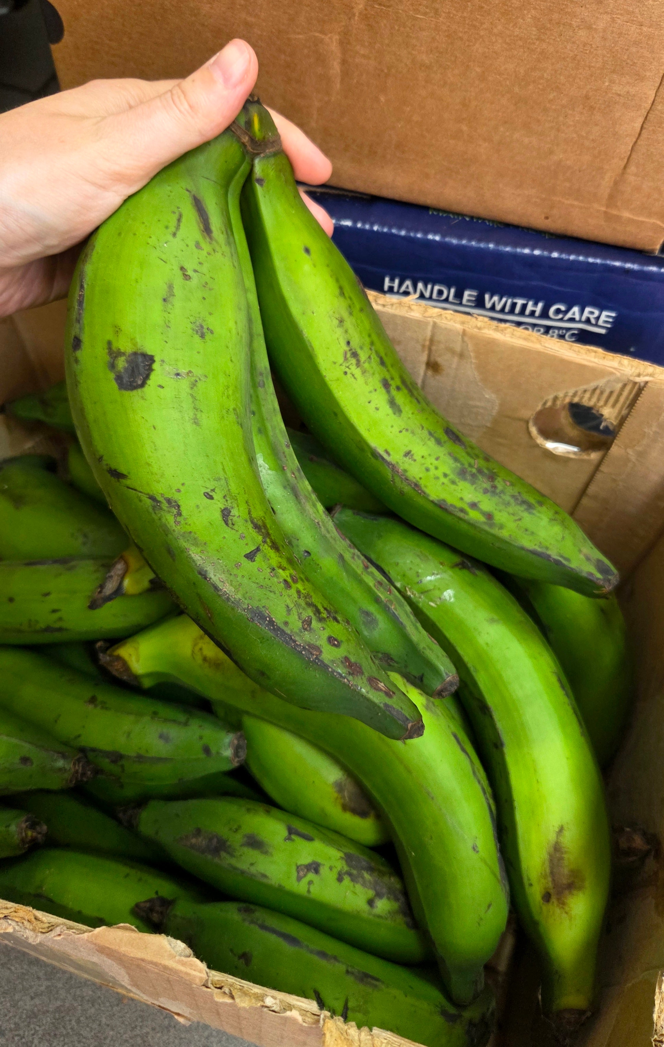 Plantains verts Burundi