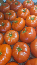 Tomates