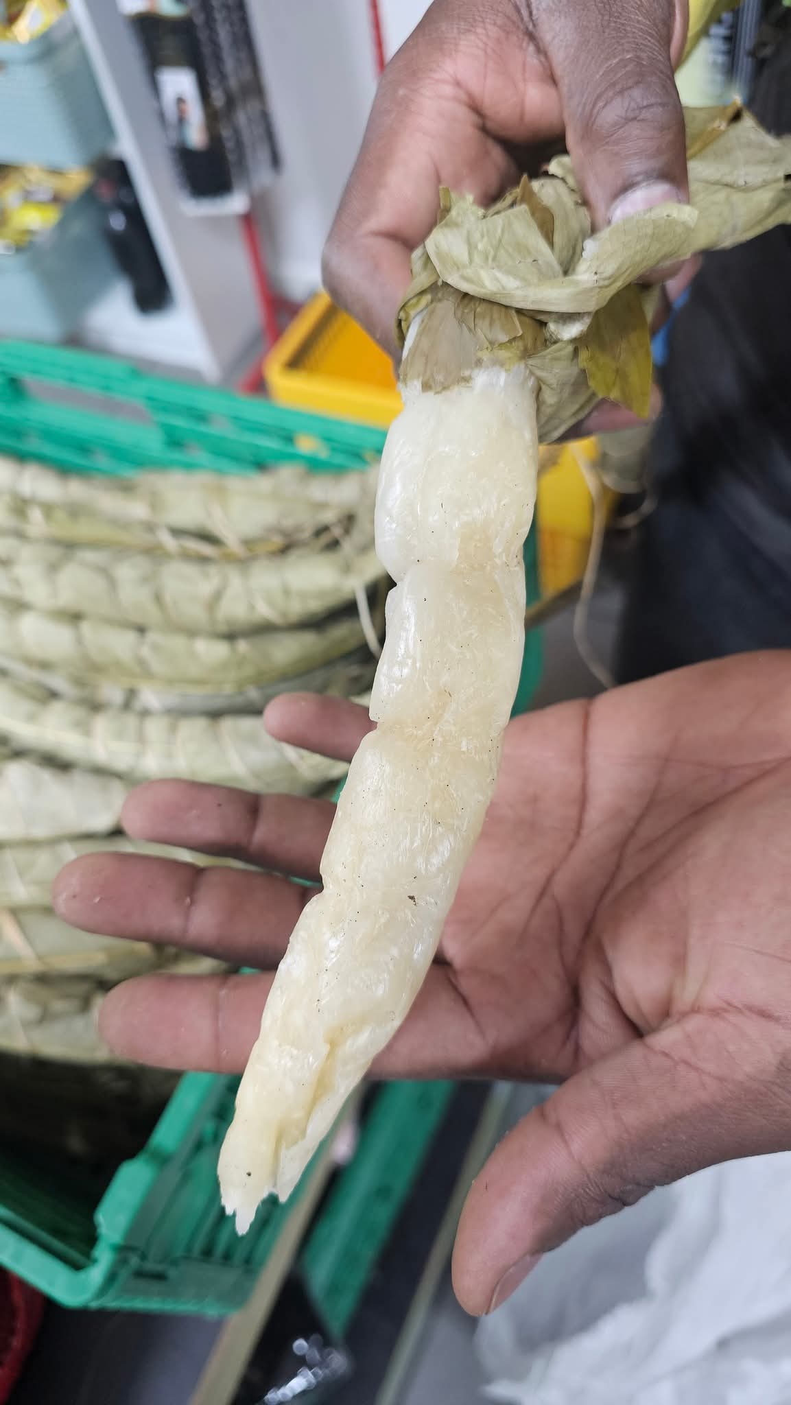 Bobolo frais