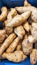 Patates blanches