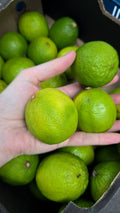 Citrons verts