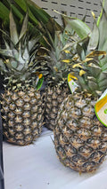 Ananas