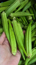 Gombo frais