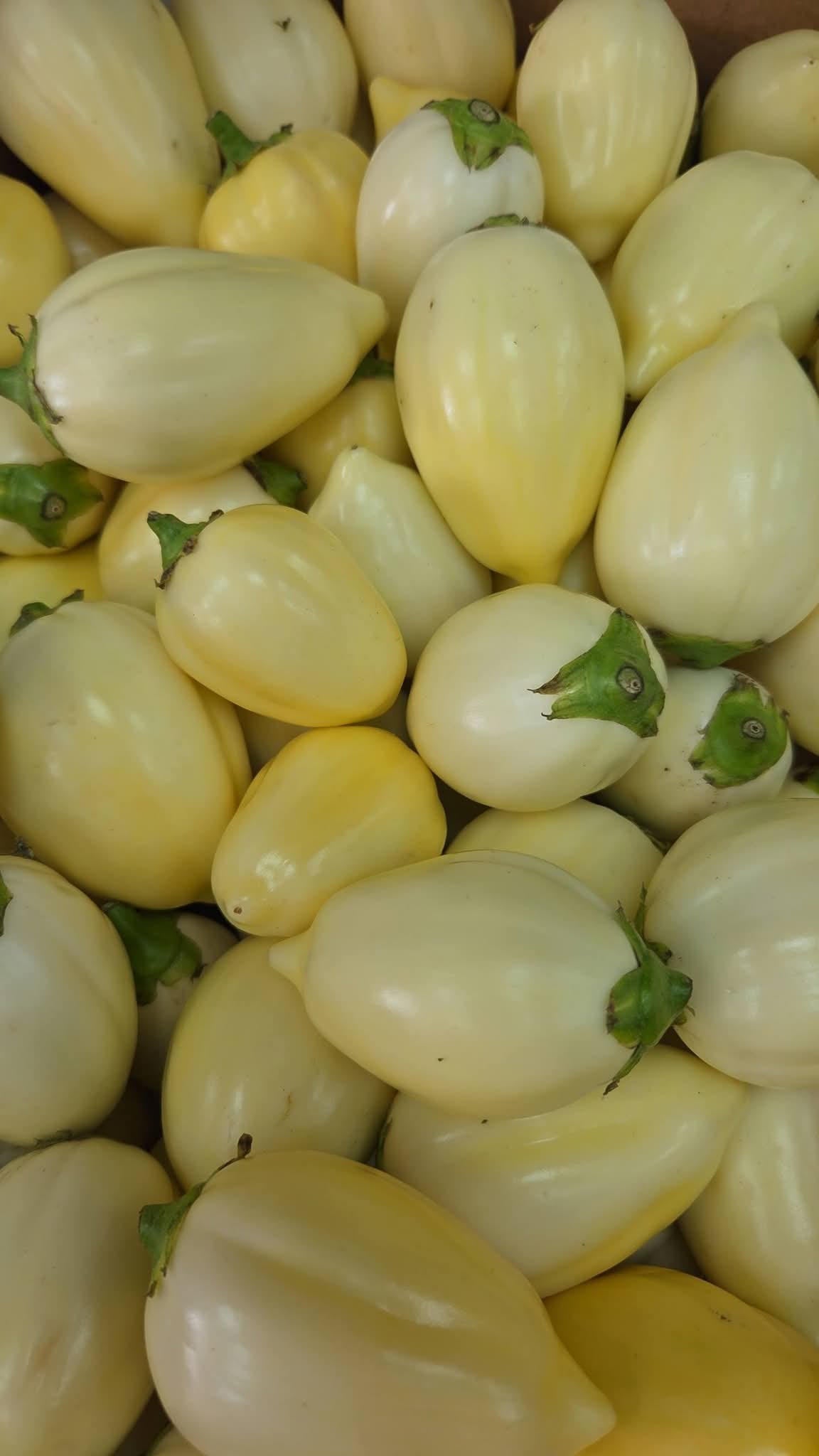 Aubergines blanches